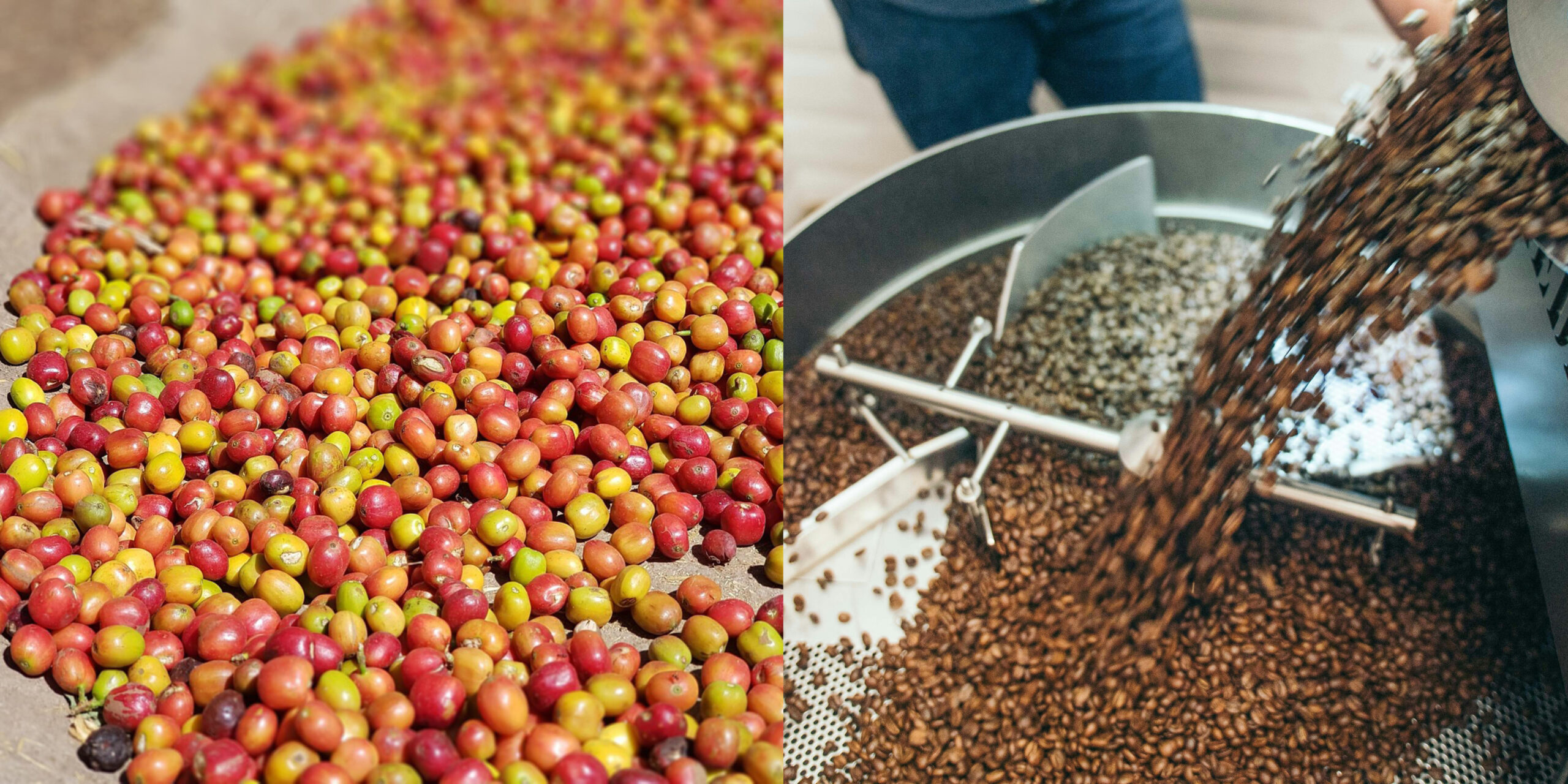 Ngaza Food Processing & Value Addition
