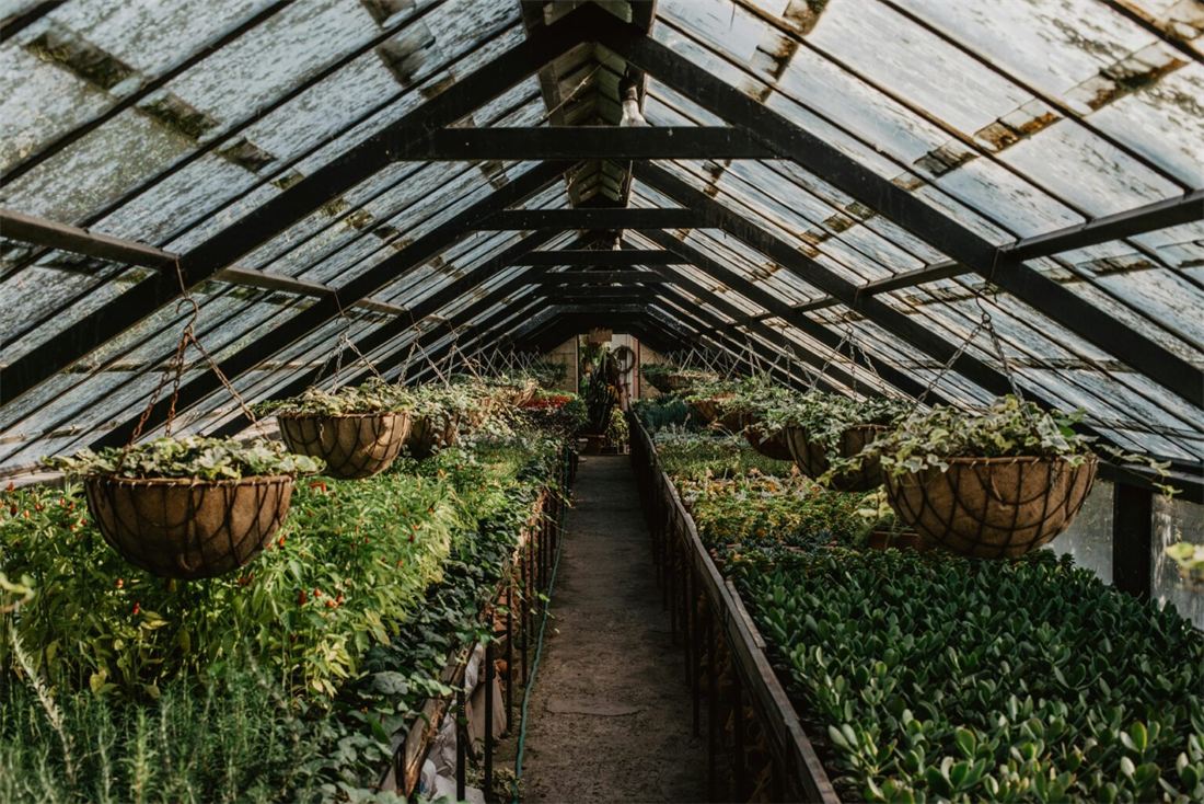 Regenerative farming